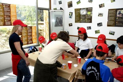 Preme para ver a foto ampliada