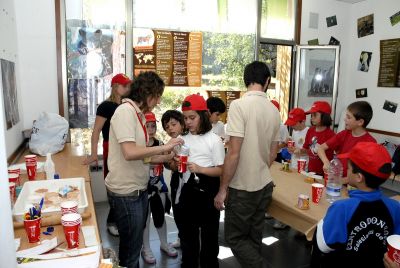 Preme para ver a foto ampliada