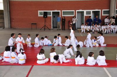 Preme para ver a foto ampliada