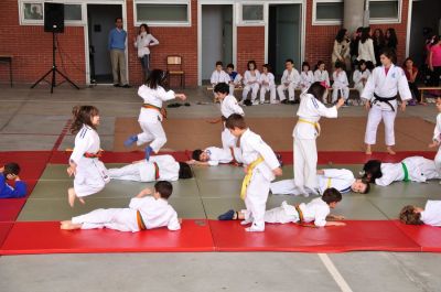 Preme para ver a foto ampliada