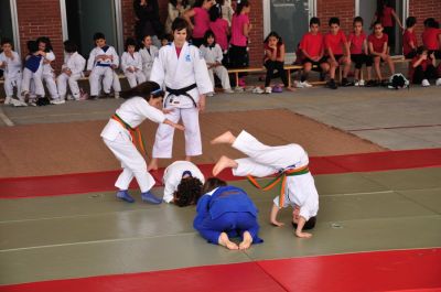 Preme para ver a foto ampliada