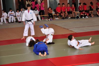 Preme para ver a foto ampliada