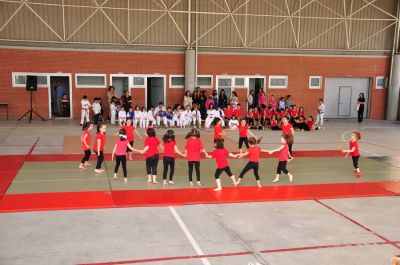 Preme para ver a foto ampliada