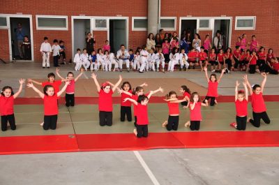 Preme para ver a foto ampliada