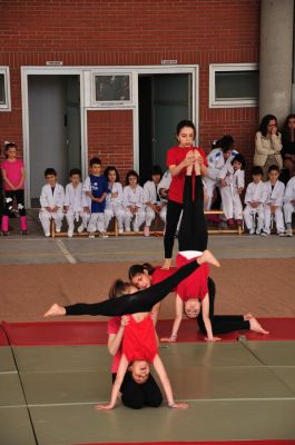 Preme para ver a foto ampliada