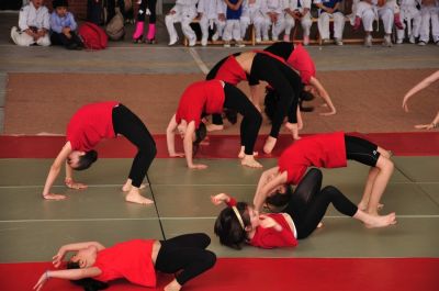 Preme para ver a foto ampliada