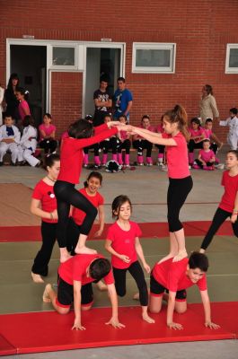 Preme para ver a foto ampliada