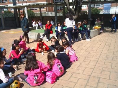 Preme para ver a foto ampliada