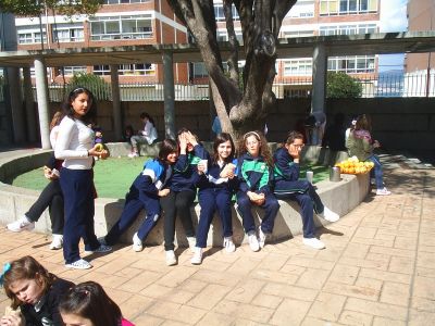 Preme para ver a foto ampliada