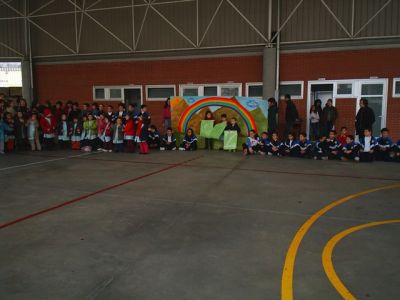 Preme para ver a foto ampliada