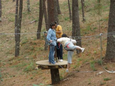 Preme para ver a foto ampliada