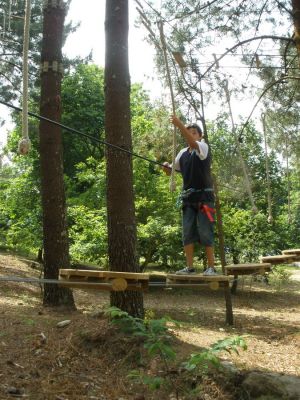 Preme para ver a foto ampliada