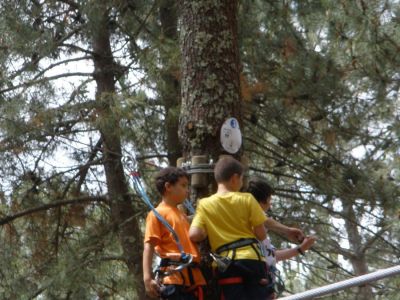 Preme para ver a foto ampliada