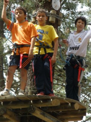 Preme para ver a foto ampliada