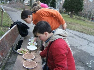 Preme para ver a foto ampliada