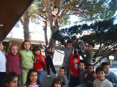 Preme para ver a foto ampliada