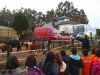 1º_Ciclo_Pri_Visita_la_hípica_Alazán_09-12-09__(66).jpg