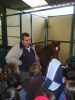 1º_Ciclo_Pri_Visita_la_hípica_Alazán_09-12-09__(69).jpg