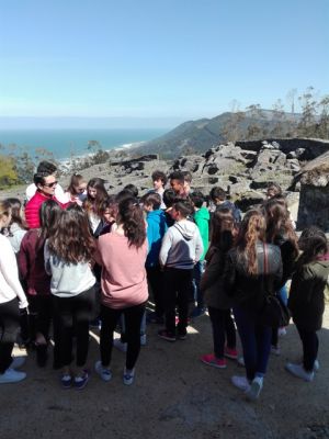 Preme para ver a foto ampliada