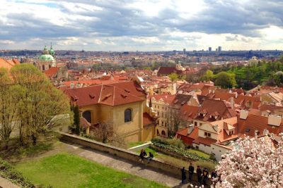 Preme para ver a foto ampliada