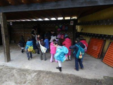 Preme para ver a foto ampliada