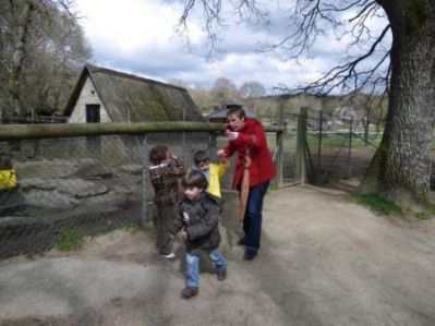 Preme para ver a foto ampliada