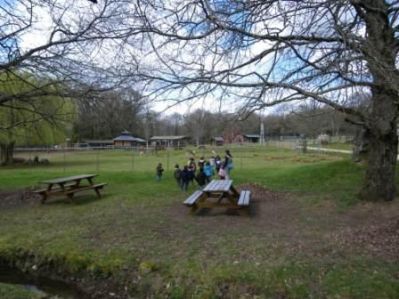 Preme para ver a foto ampliada