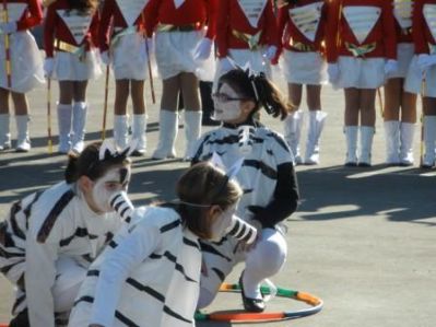 Preme para ver a foto ampliada