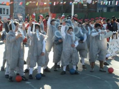 Preme para ver a foto ampliada