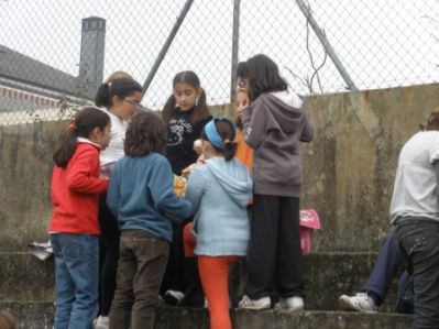 Preme para ver a foto ampliada