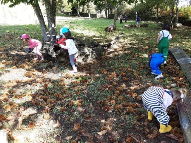 Apañamos castañas