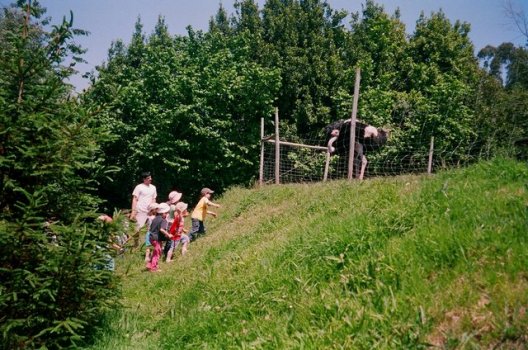 Preme para ver a foto ampliada