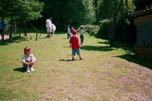 Preme para ver a foto ampliada