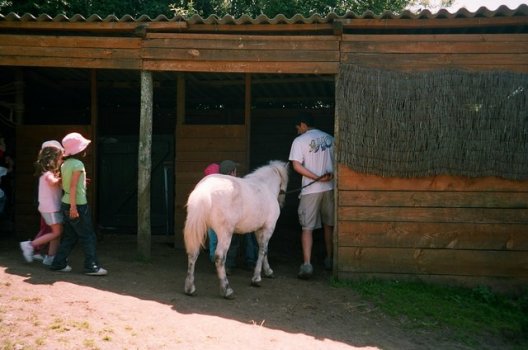 Preme para ver a foto ampliada