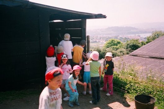 Preme para ver a foto ampliada