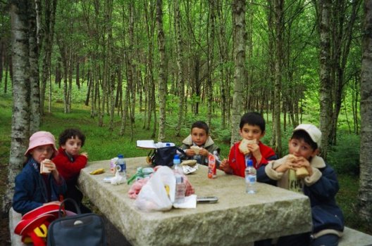 Preme para ver a foto ampliada