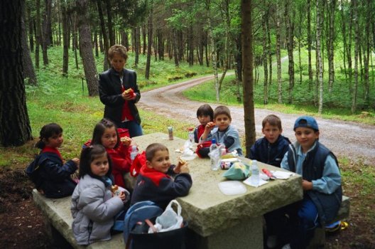 Preme para ver a foto ampliada