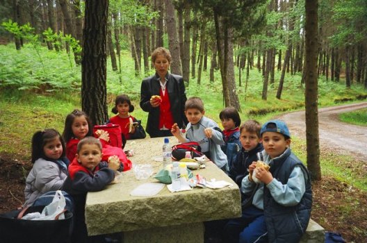 Preme para ver a foto ampliada