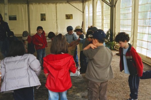 Preme para ver a foto ampliada