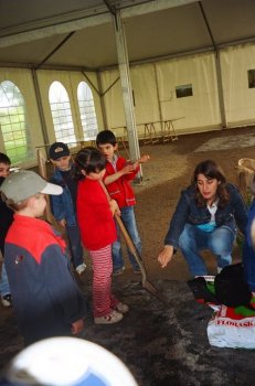 Preme para ver a foto ampliada