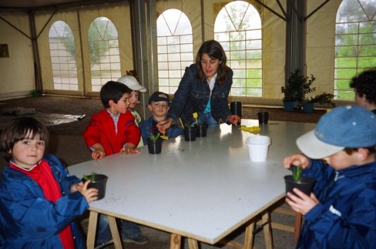 Preme para ver a foto ampliada