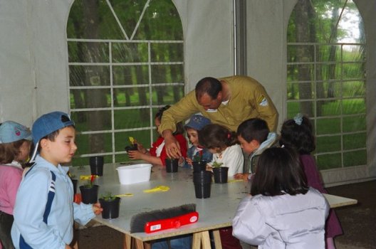 Preme para ver a foto ampliada