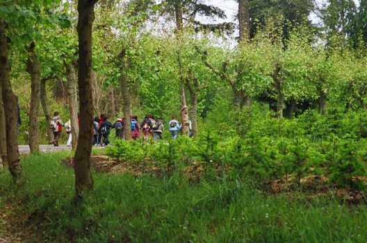 Preme para ver a foto ampliada