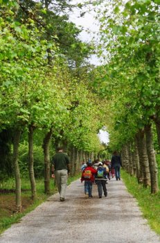 Preme para ver a foto ampliada