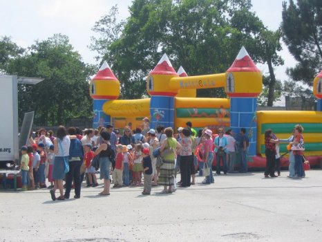 Preme para ver a foto ampliada