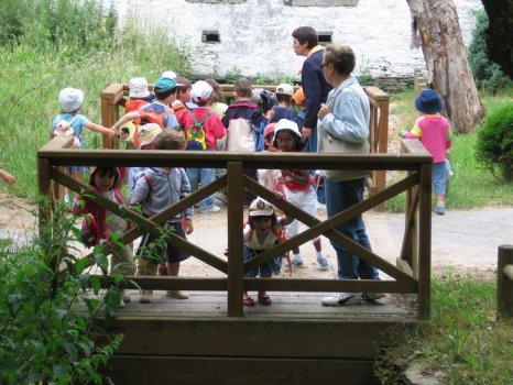 Preme para ver a foto ampliada