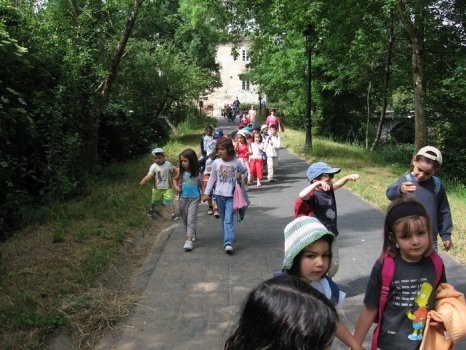 Preme para ver a foto ampliada