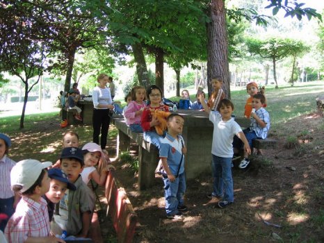 Preme para ver a foto ampliada