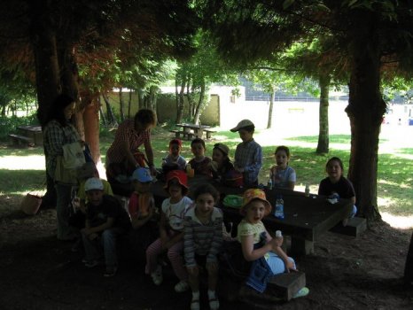 Preme para ver a foto ampliada