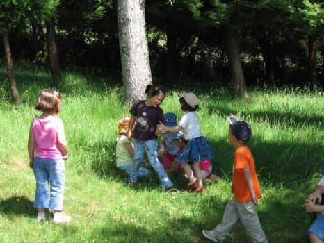 Preme para ver a foto ampliada